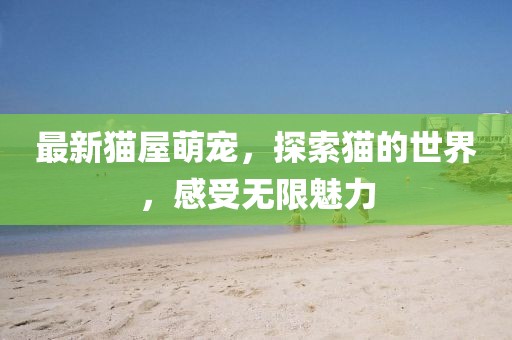 最新貓屋萌寵，探索貓的世界，感受無限魅力