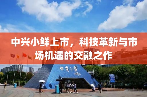 中興小鮮上市，科技革新與市場機(jī)遇的交融之作