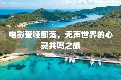 電影聾啞部落，無(wú)聲世界的心靈共鳴之旅