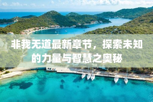 非我無道最新章節(jié)，探索未知的力量與智慧之奧秘