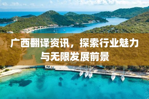 廣西翻譯資訊，探索行業(yè)魅力與無限發(fā)展前景