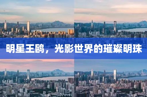 明星王鷗，光影世界的璀璨明珠