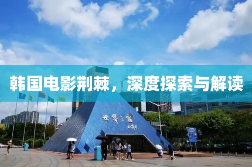 韓國電影荊棘，深度探索與解讀