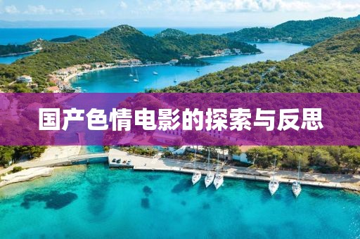 國(guó)產(chǎn)色情電影的探索與反思