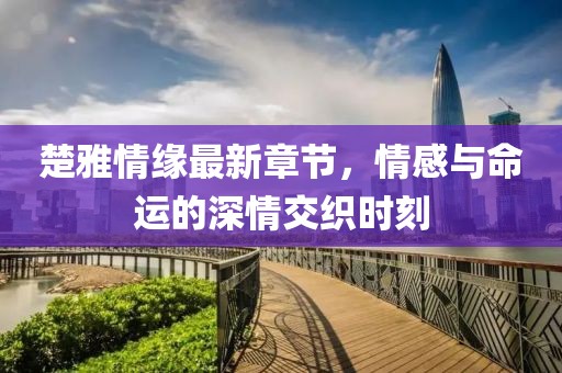 楚雅情緣最新章節(jié)，情感與命運的深情交織時刻