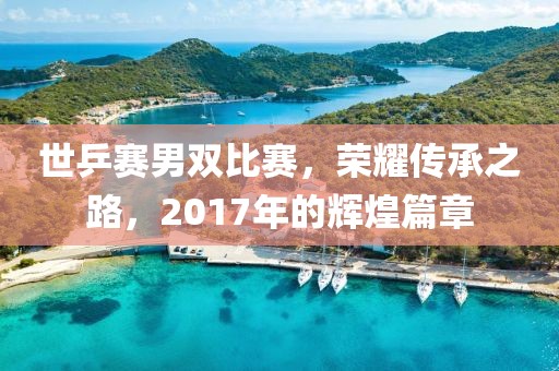 世乒賽男雙比賽，榮耀傳承之路，2017年的輝煌篇章