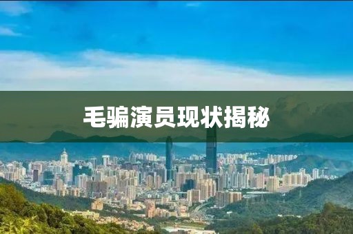 毛騙演員現(xiàn)狀揭秘