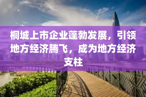 桐城上市企業(yè)蓬勃發(fā)展，引領(lǐng)地方經(jīng)濟(jì)騰飛，成為地方經(jīng)濟(jì)支柱