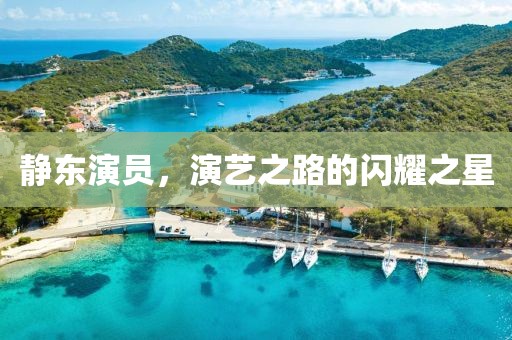靜東演員，演藝之路的閃耀之星