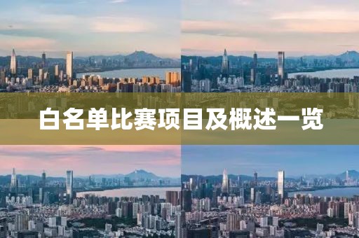 白名單比賽項(xiàng)目及概述一覽