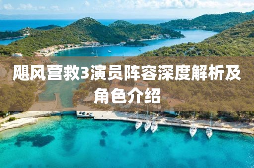 颶風(fēng)營(yíng)救3演員陣容深度解析及角色介紹