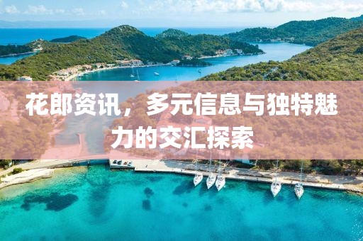 花郎資訊，多元信息與獨(dú)特魅力的交匯探索