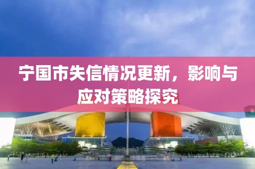 寧國市失信情況更新，影響與應(yīng)對策略探究
