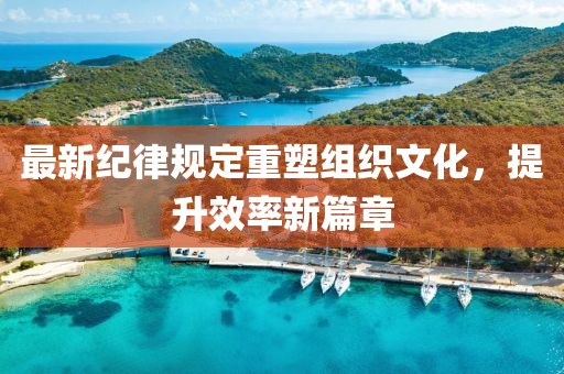 最新紀(jì)律規(guī)定重塑組織文化，提升效率新篇章