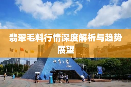翡翠毛料行情深度解析與趨勢展望
