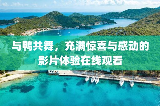 與鴨共舞，充滿驚喜與感動的影片體驗在線觀看