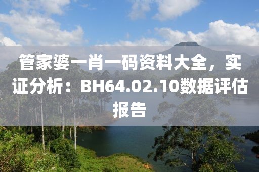 管家婆一肖一碼資料大全，實證分析：BH64.02.10數(shù)據(jù)評估報告