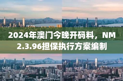 2024年澳門今晚開碼料，NM2.3.96擔(dān)保執(zhí)行方案編制