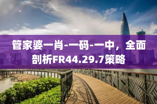 管家婆一肖-一碼-一中，全面剖析FR44.29.7策略