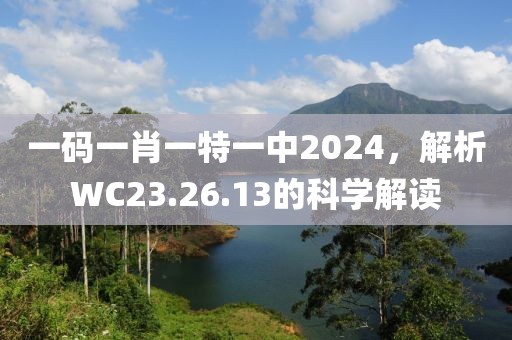 一碼一肖一特一中2024，解析WC23.26.13的科學(xué)解讀
