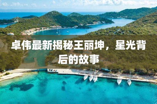 卓偉最新揭秘王麗坤，星光背后的故事