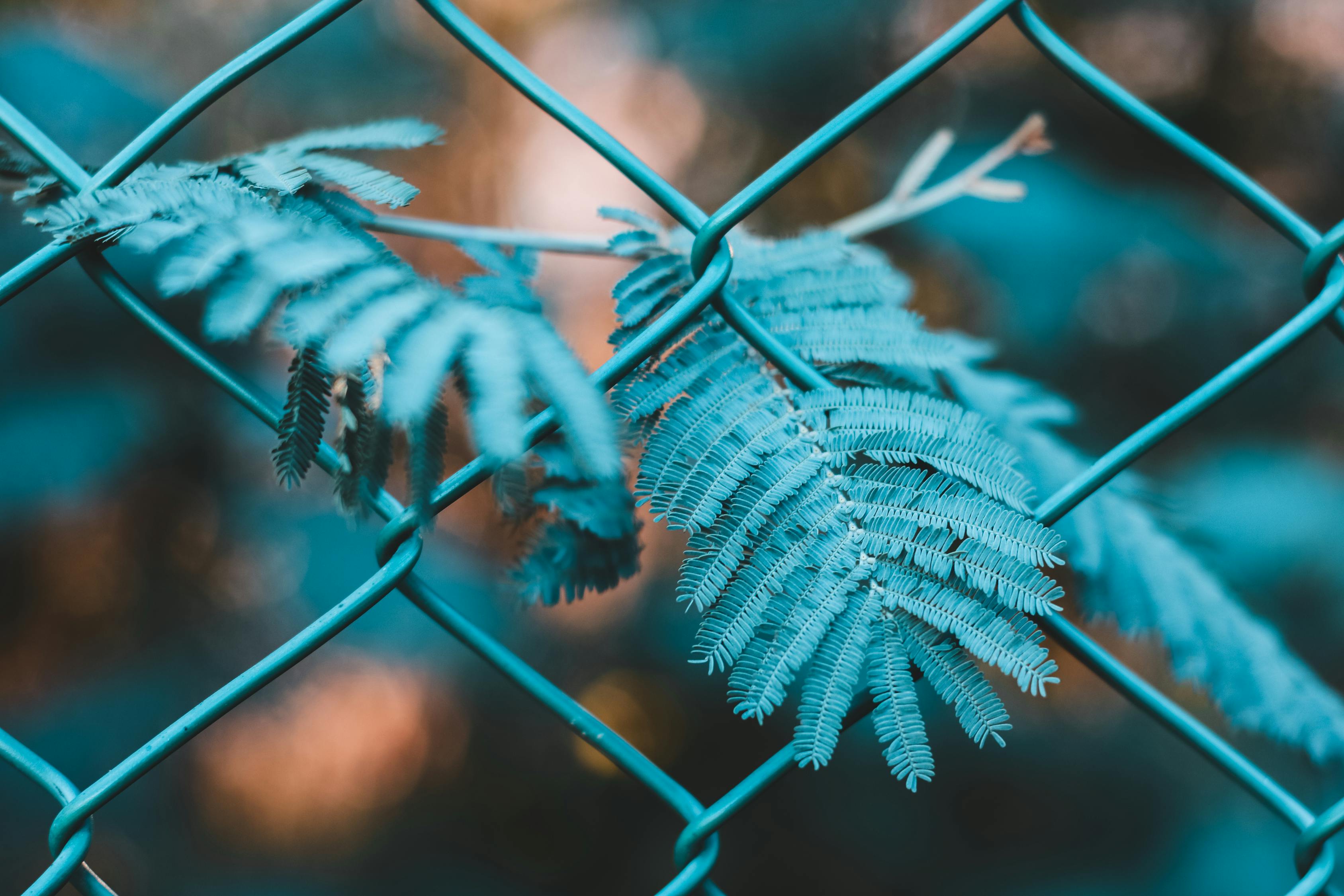 網(wǎng)站首頁 第836頁