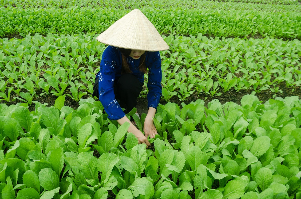 羅頓發(fā)展最新動(dòng)態(tài)更新，最新資訊速遞