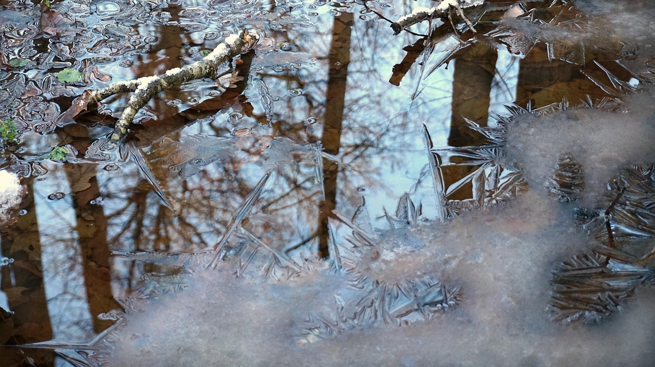 林蕭 第7頁(yè)