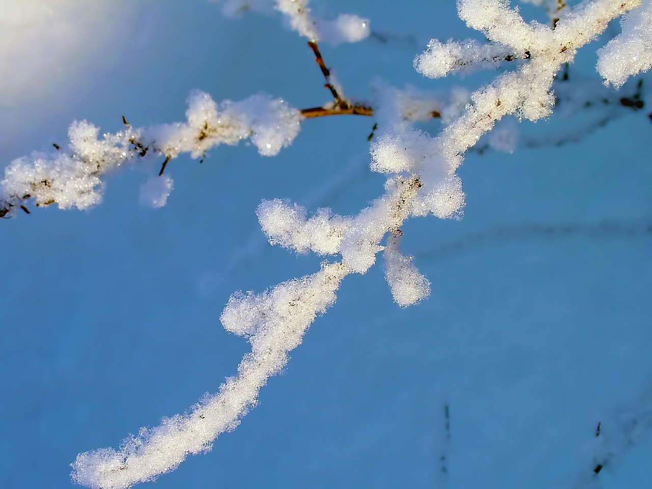 石家莊地震最新消息今日更新，背景分析與實(shí)時(shí)動(dòng)態(tài)關(guān)注